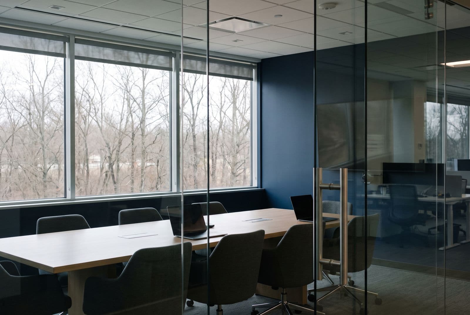 A conference room beside a treated window wall, the table and screens free of glare while the bare trees outside stay completely legible through the glass